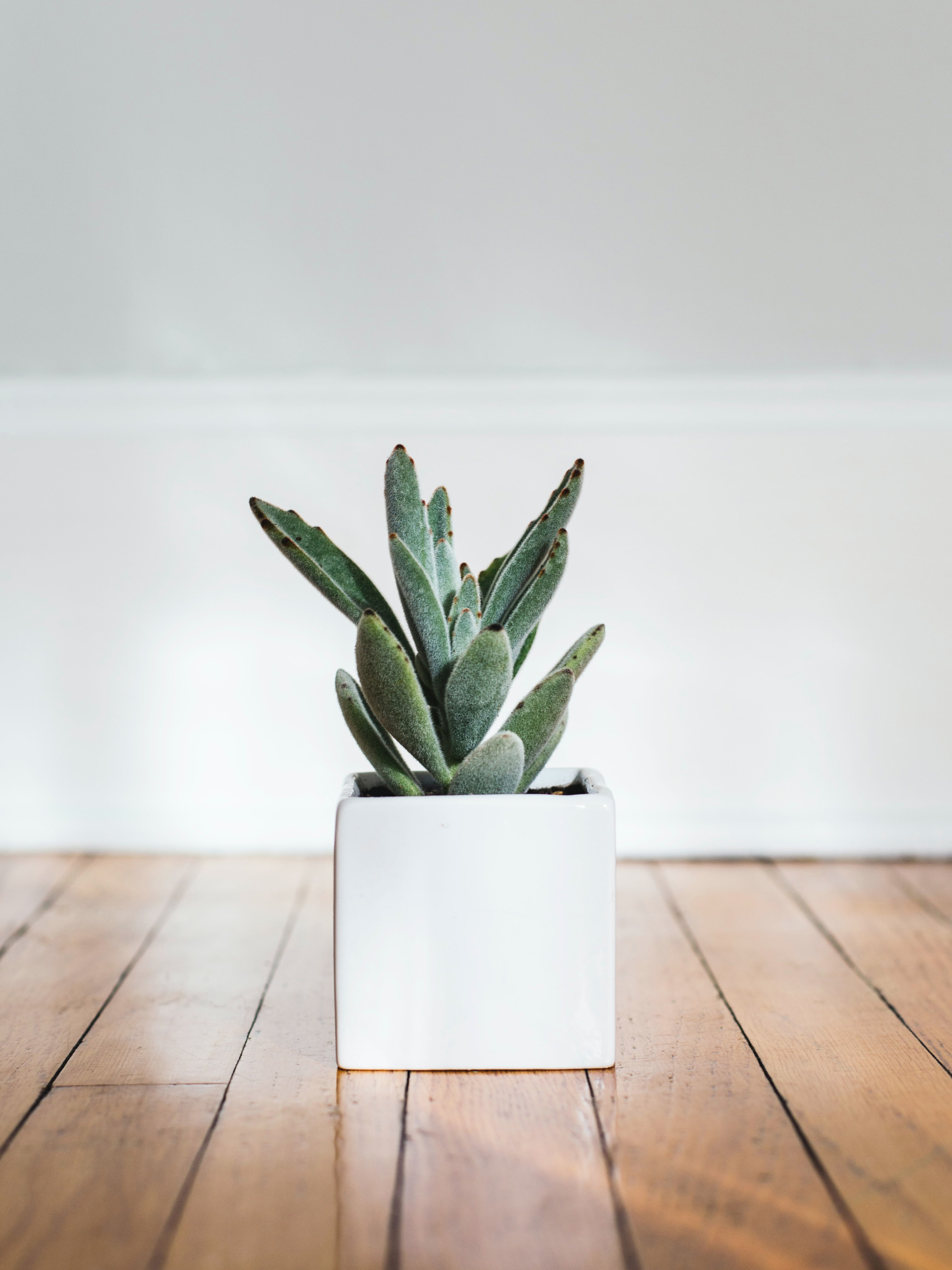 Stock placeholder image with grayscale geometrical mountain landscape